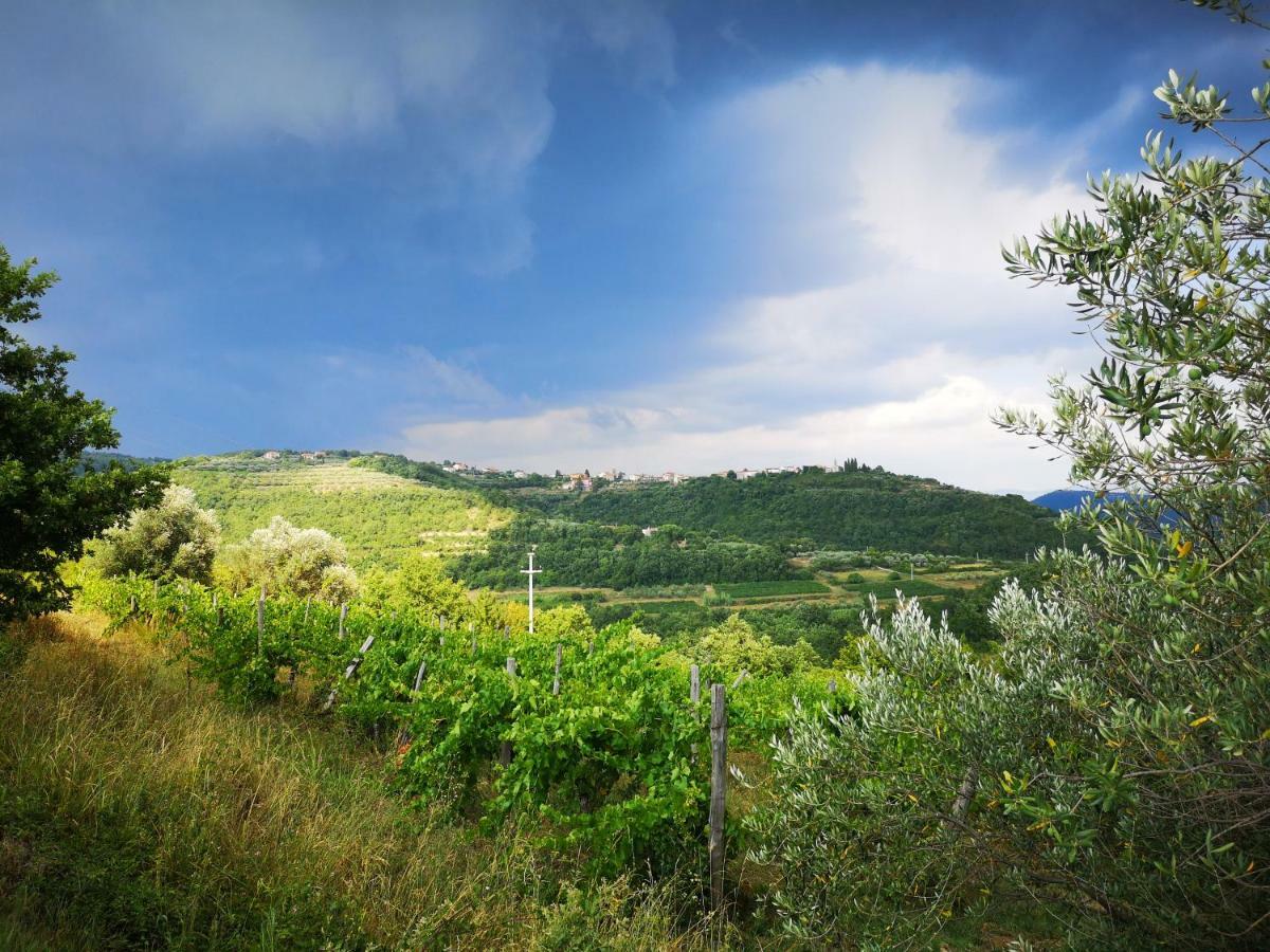 Appartamento Olivia Šmarje Esterno foto
